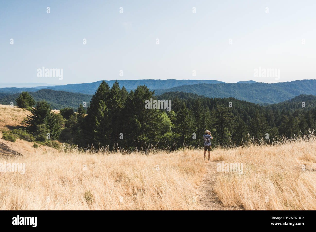 A man overlooks a forest from a hilltop and stops to take a photo. Stock Photo