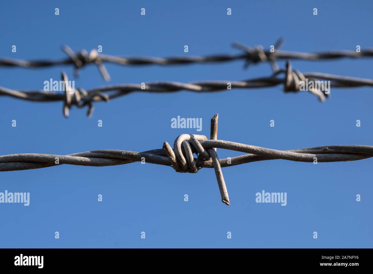 Barbed wire fence. Stock Photo