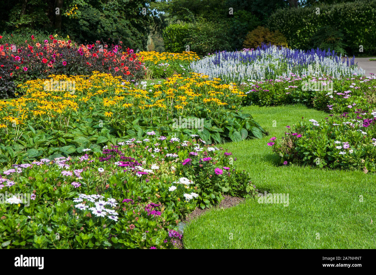 Large flower beds in summer with mixed Dahlias Saliva farinacea Rudbeckia Goldsturm and mixed Osteospermum all in flower.. Stock Photo