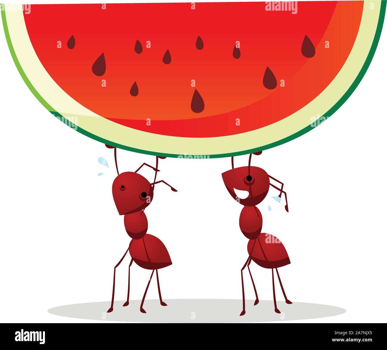 Two ants carrying a green and red watermelon with seeds, vector illustration. Stock Vector