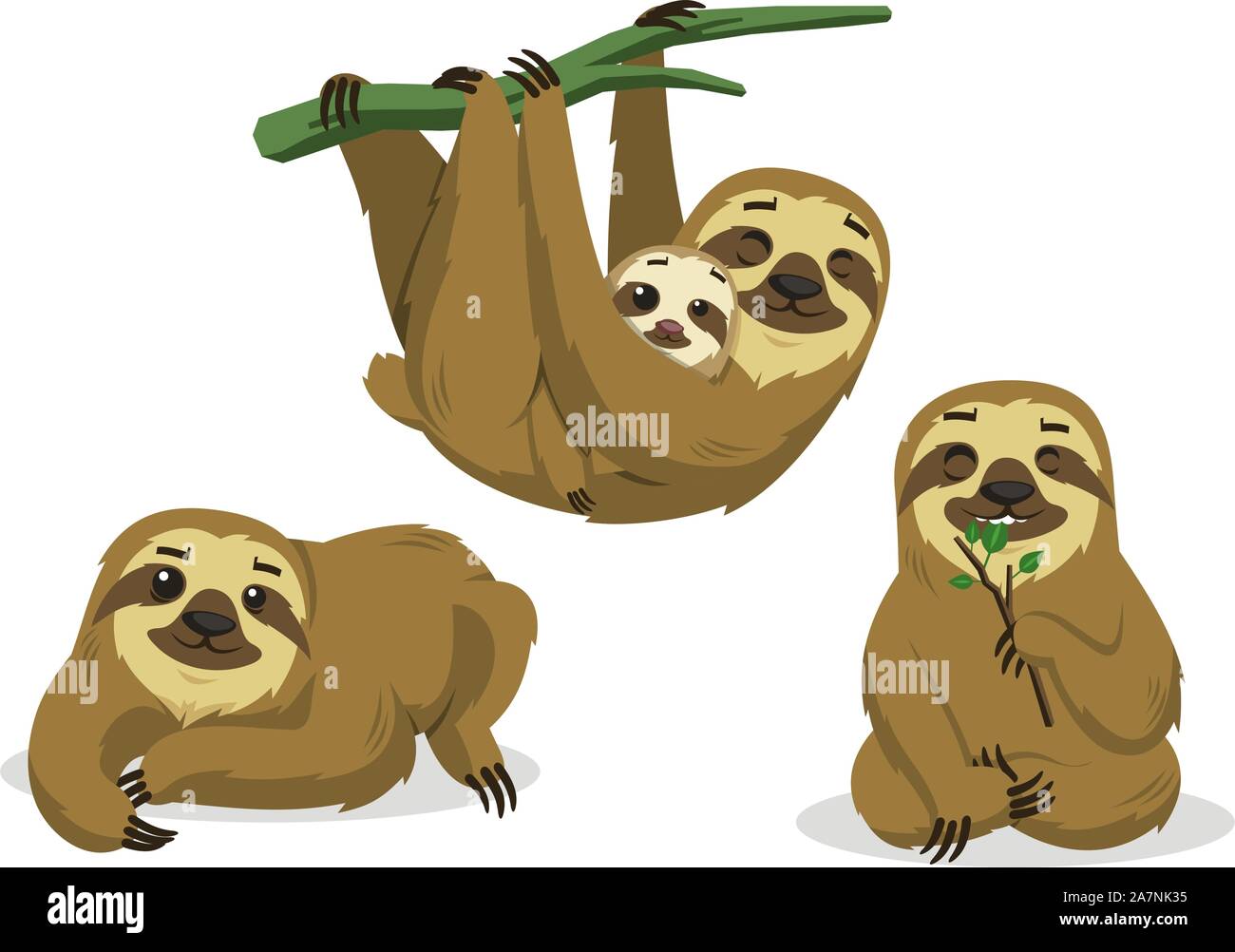Sloth Rainforest Two Toed Lazy Mammal Hanging Sloths Stock Vector