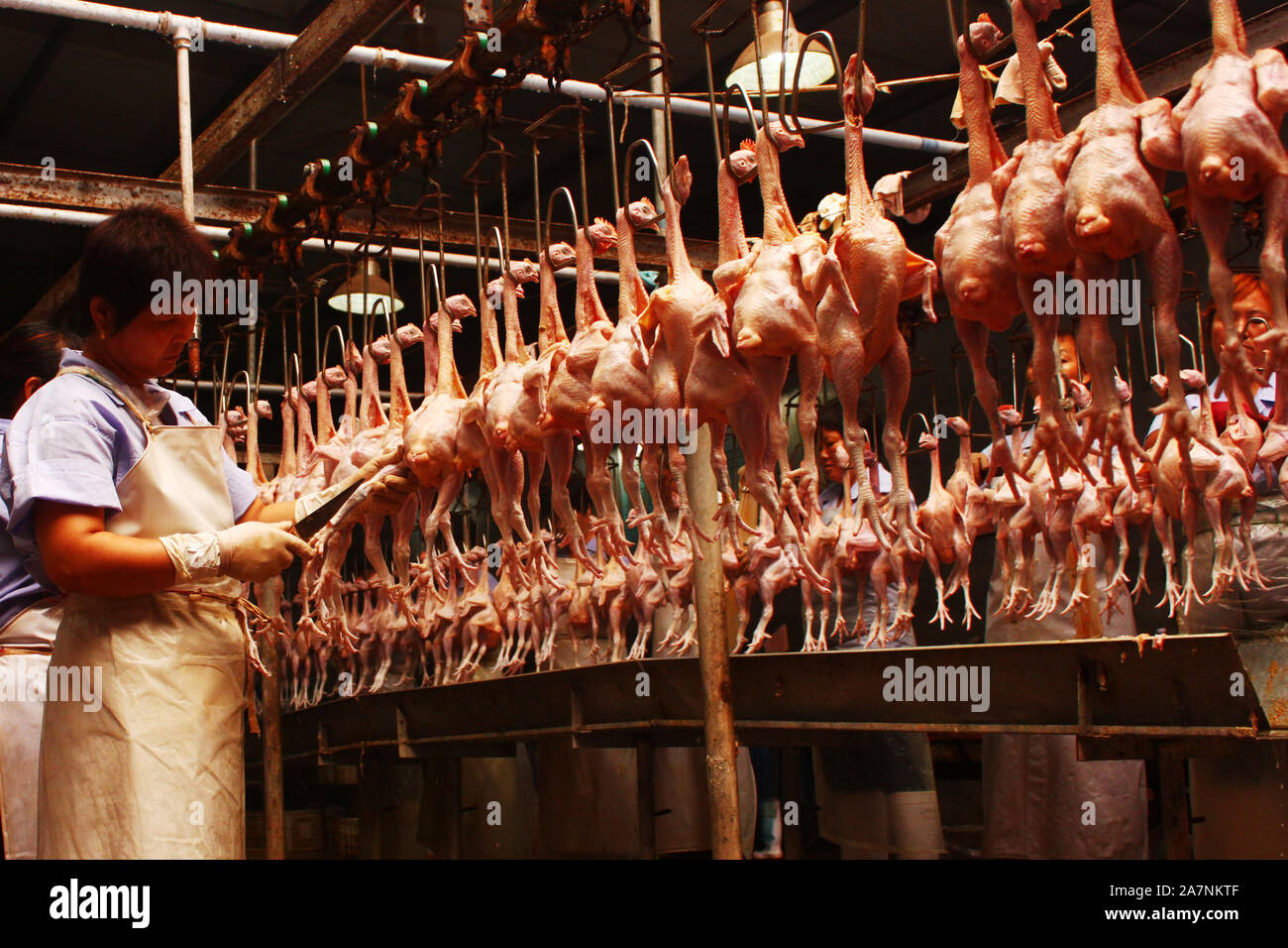 Poultry processing hi-res stock photography and images - Alamy