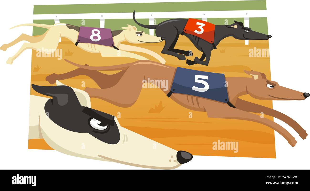 Greyhound Dog Race Racing Dogs, vector illustration cartoons Stock ...