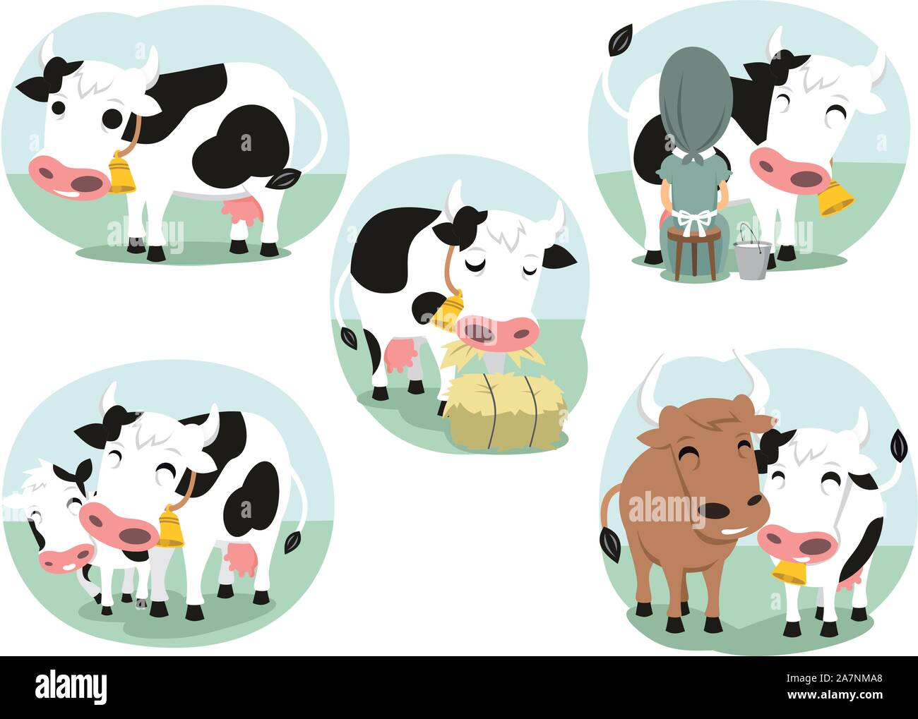 Cartoon cow action set, with cute lovely heifer in five different situations like Standing dairy cow, Eating cow, Milk cow, cow and bull and cow with Stock Vector