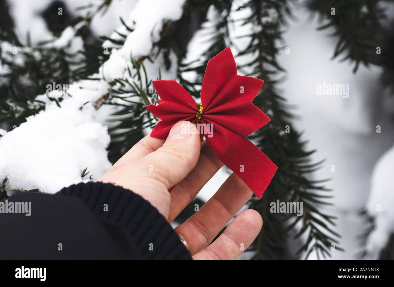 Christmas Ribbon Man Hand decorate the tree hi-res stock photography and images - Alamy