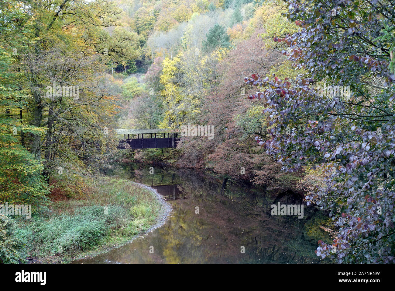 Herbstlicher Wald an der Wied nach der Wassermühle am Laubach, Neuwied, Rheinland-Pfalz, Deutschland Stock Photo