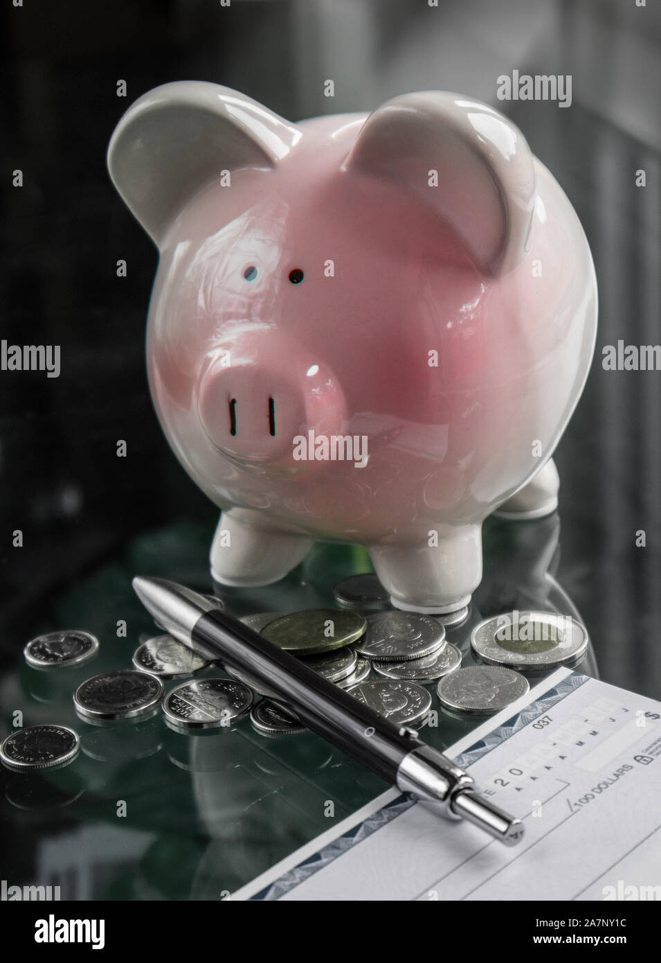 Piggy bank, totally embarrassed after giving his meager savings to his owner .. Stock Photo