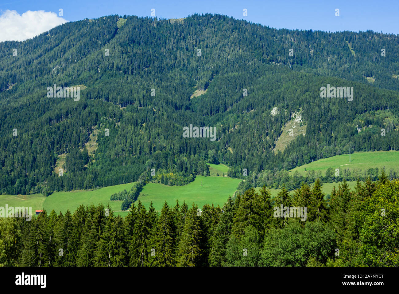 Beautiful green landscape and forest in the pure nature Stock Photo