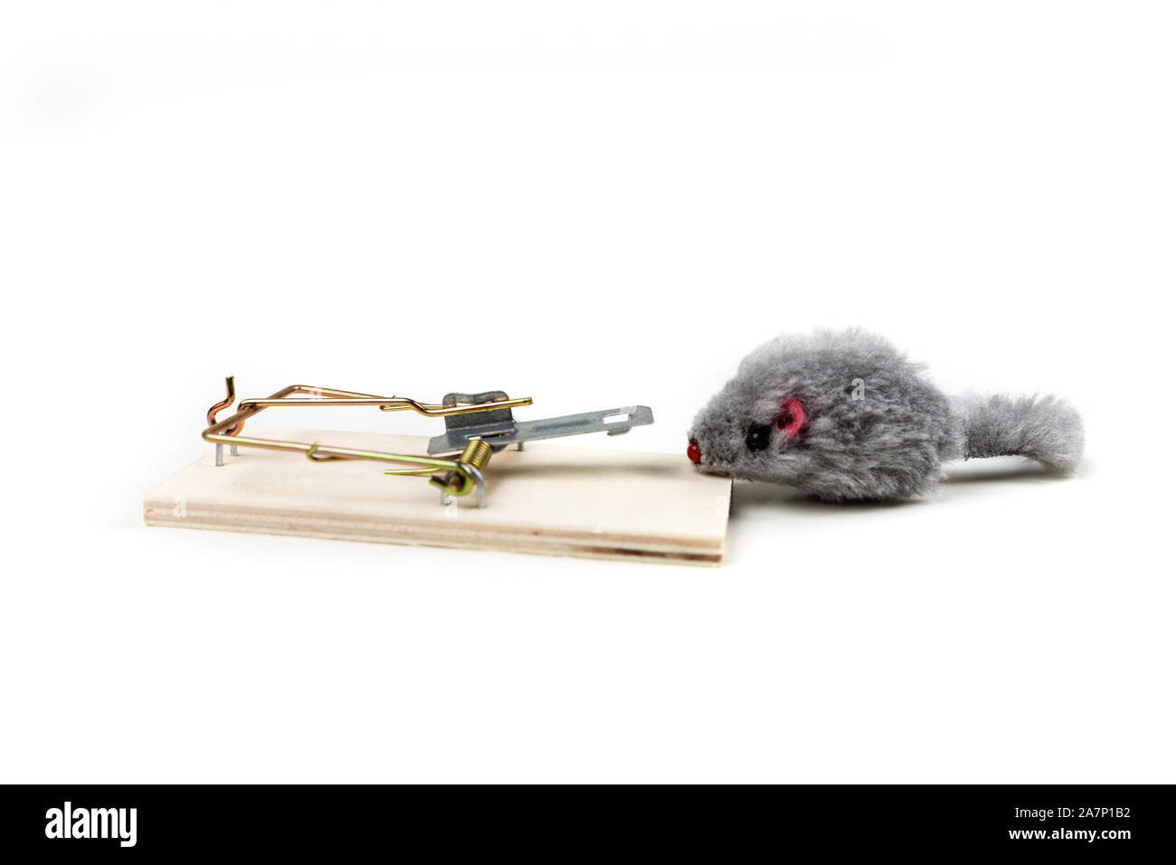 Grey toy mouse prowling around a wood mouse trap Stock Photo - Alamy