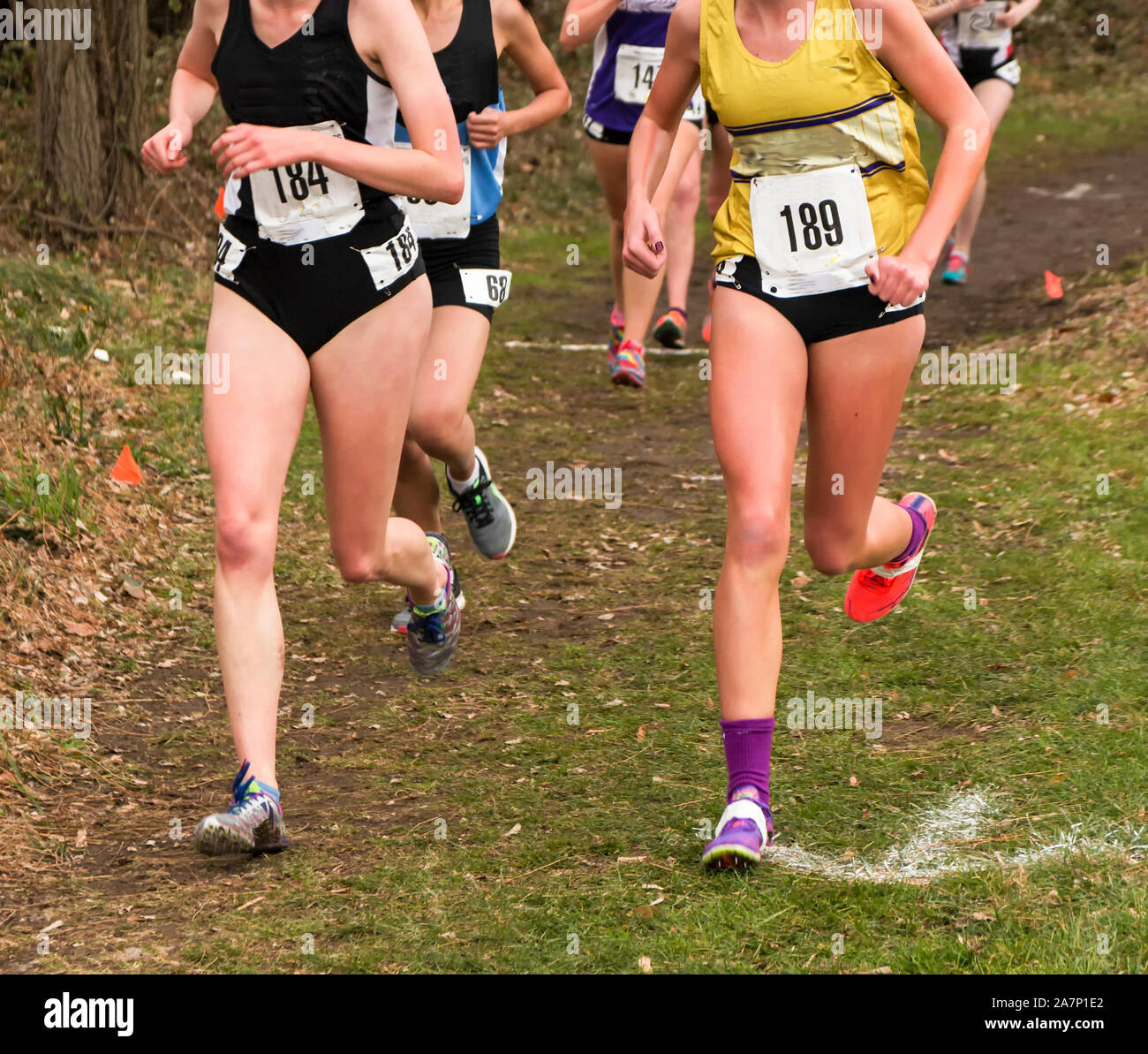 College Girls Running Trail