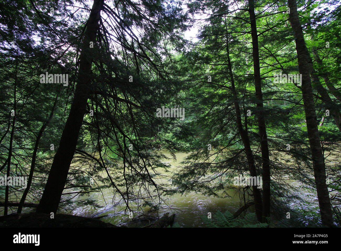 Mohican State Park, Ohio Stock Photo Alamy