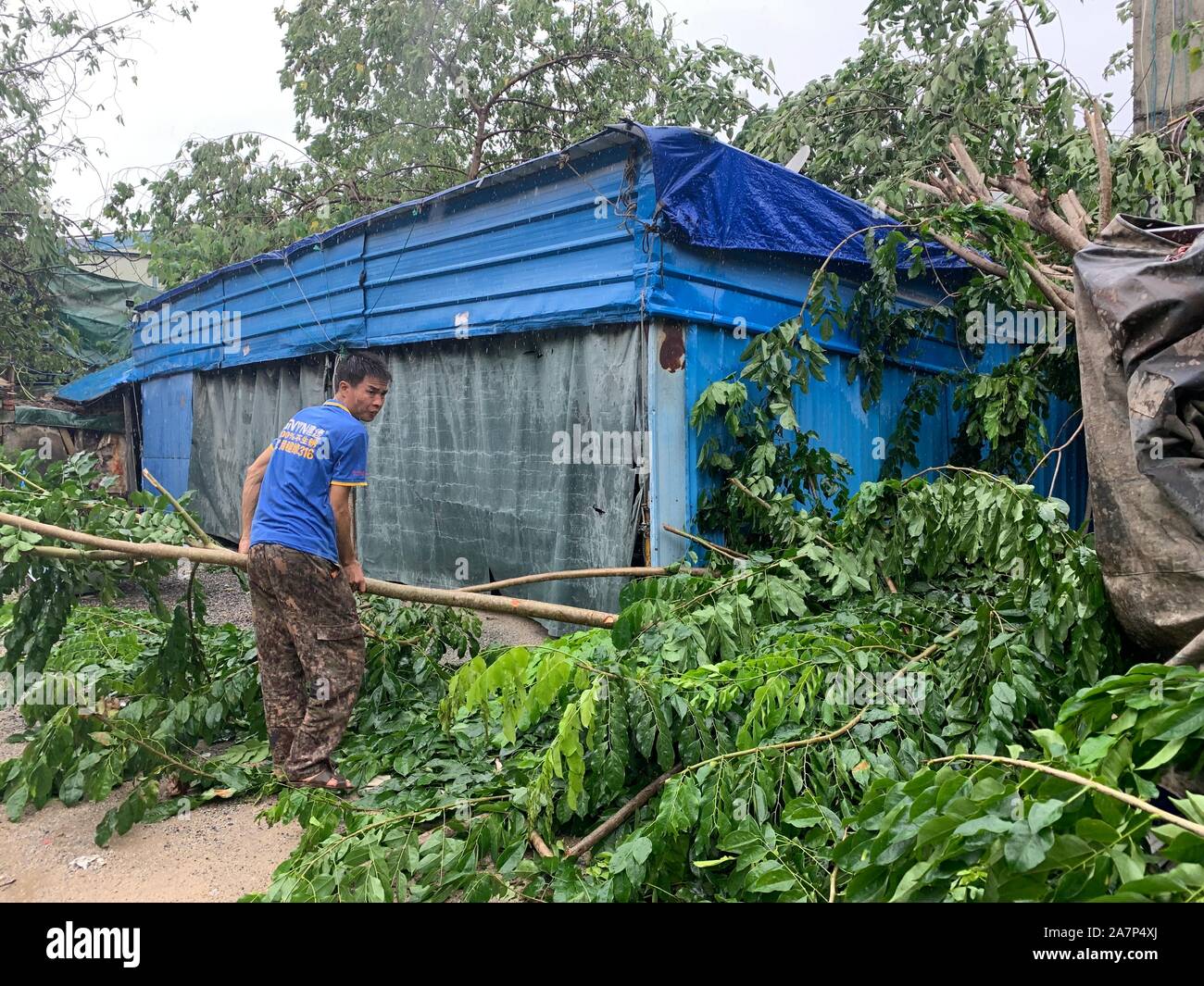 A man moves away the fallen tree near a house in Danzhou city, south China's Hainan province, 29 August 2019.   Tornado causes 8 dead in the downtown Stock Photo