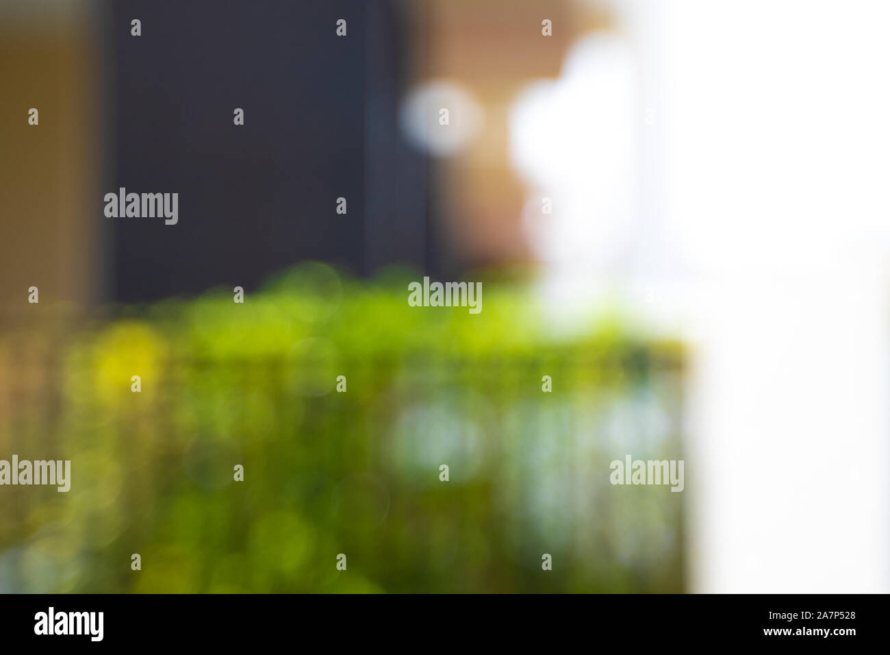bokeh background bokeh blurry office  green bokeh background Stock Photo