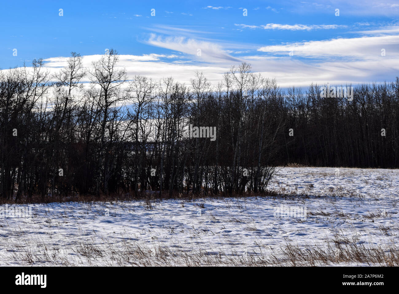 Earthy trail hi-res stock photography and images - Alamy