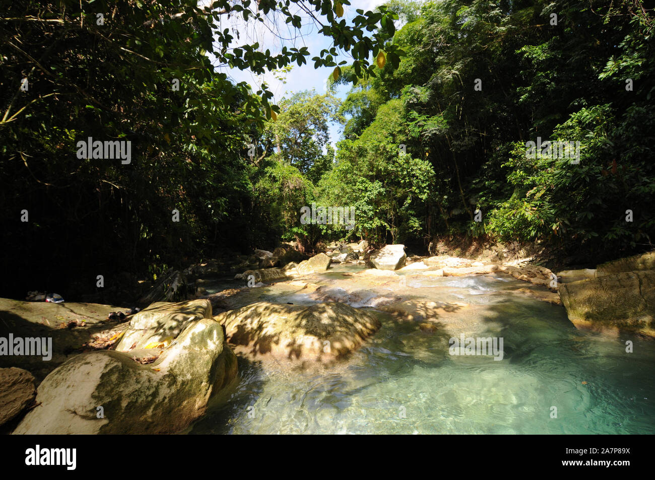 Beautiful view on the clear water of Driver's river and the lush nature. The river feed the famous Reach falls near Machioneal in Jamaica Stock Photo