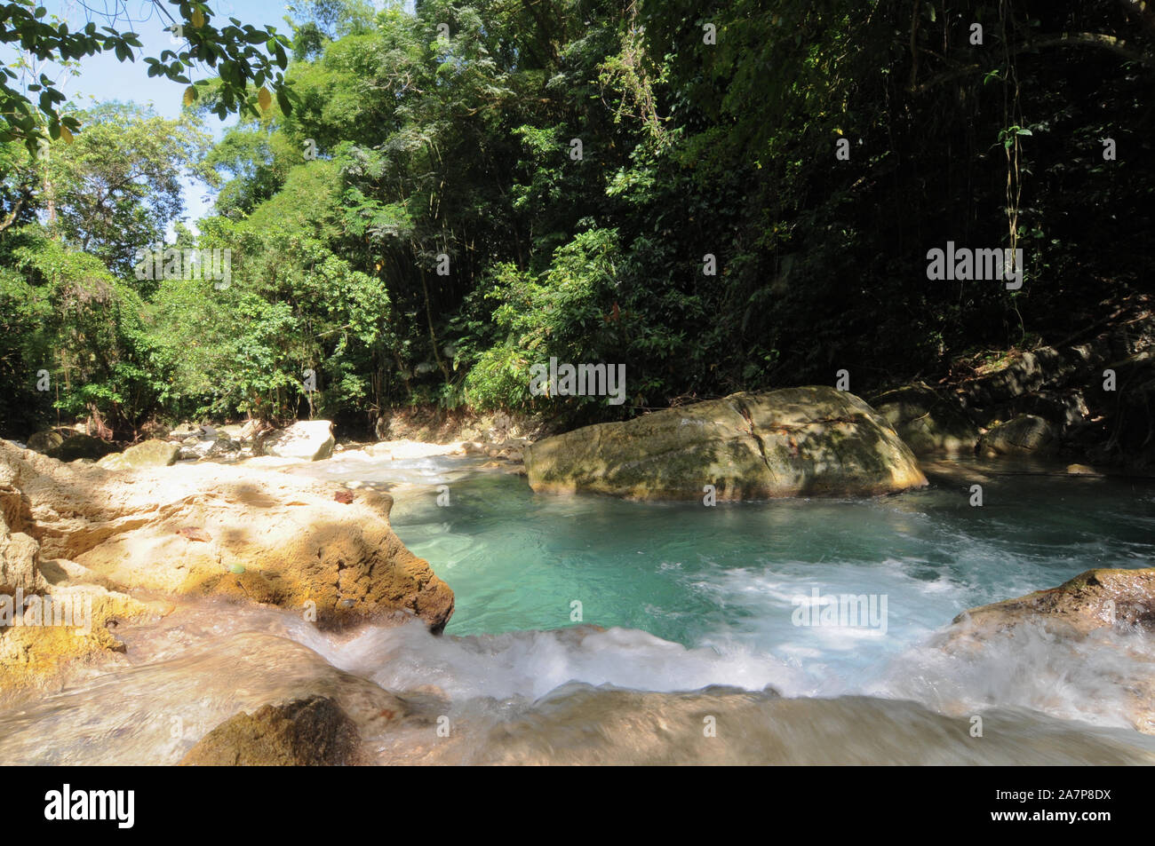 Beautiful view on the clear water of Driver's river and the lush nature. The river feed the famous Reach falls near Machioneal in Jamaica Stock Photo