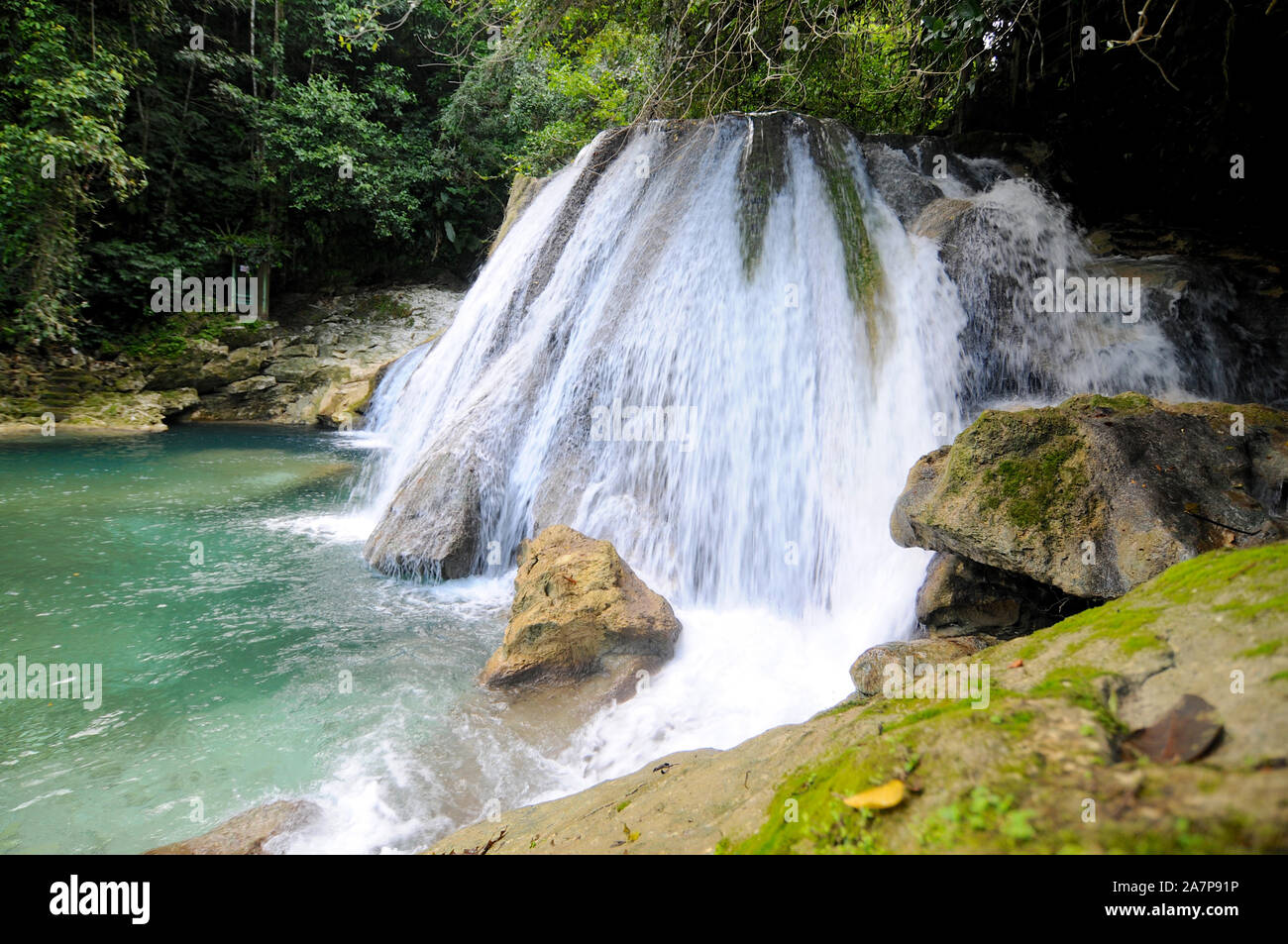 Manchioneal jamaica hires stock photography and images Alamy