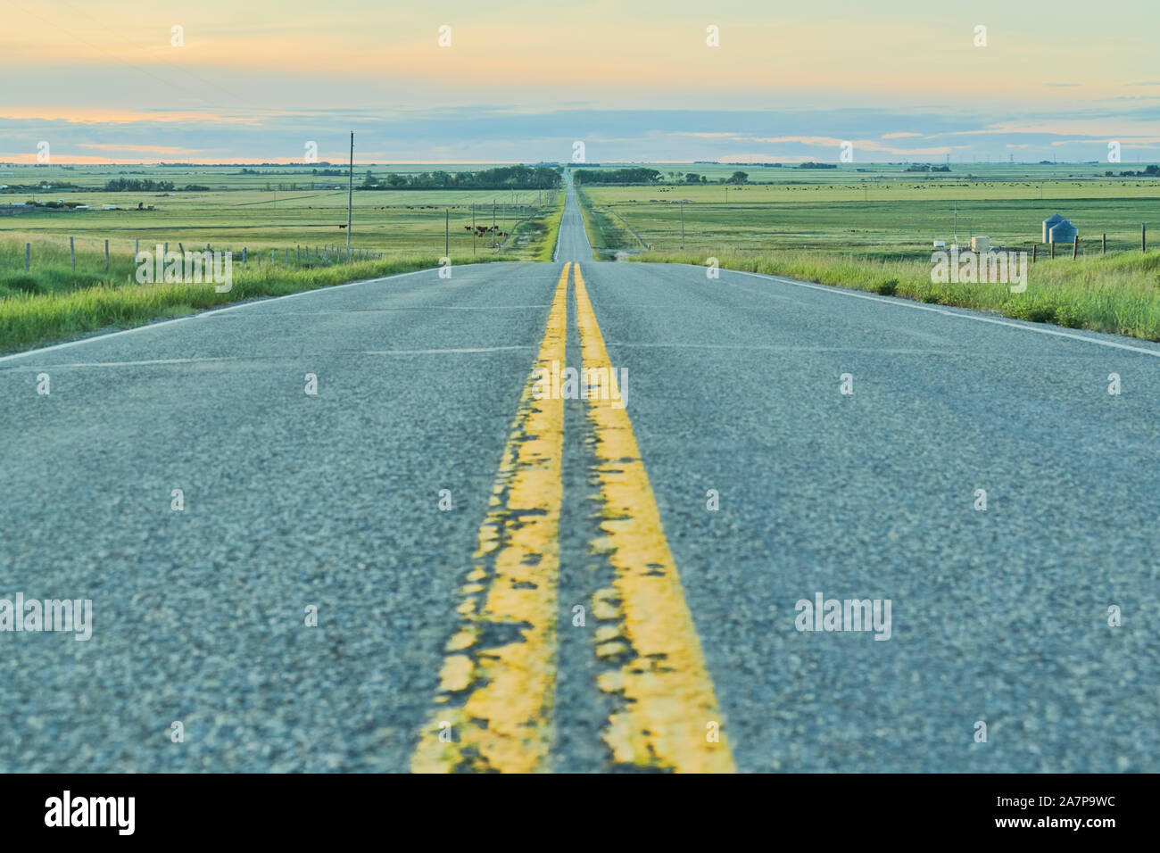 A photo taken from a low angle in the centre of the road when traveling