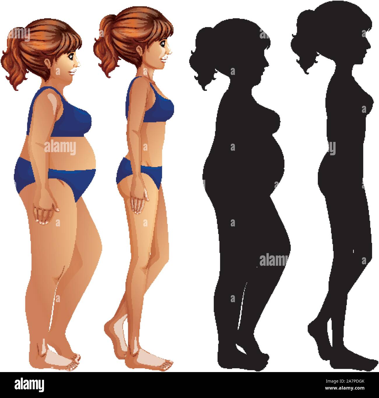 Skinny and fat women with sillhouette on white background illustration Stock Vector