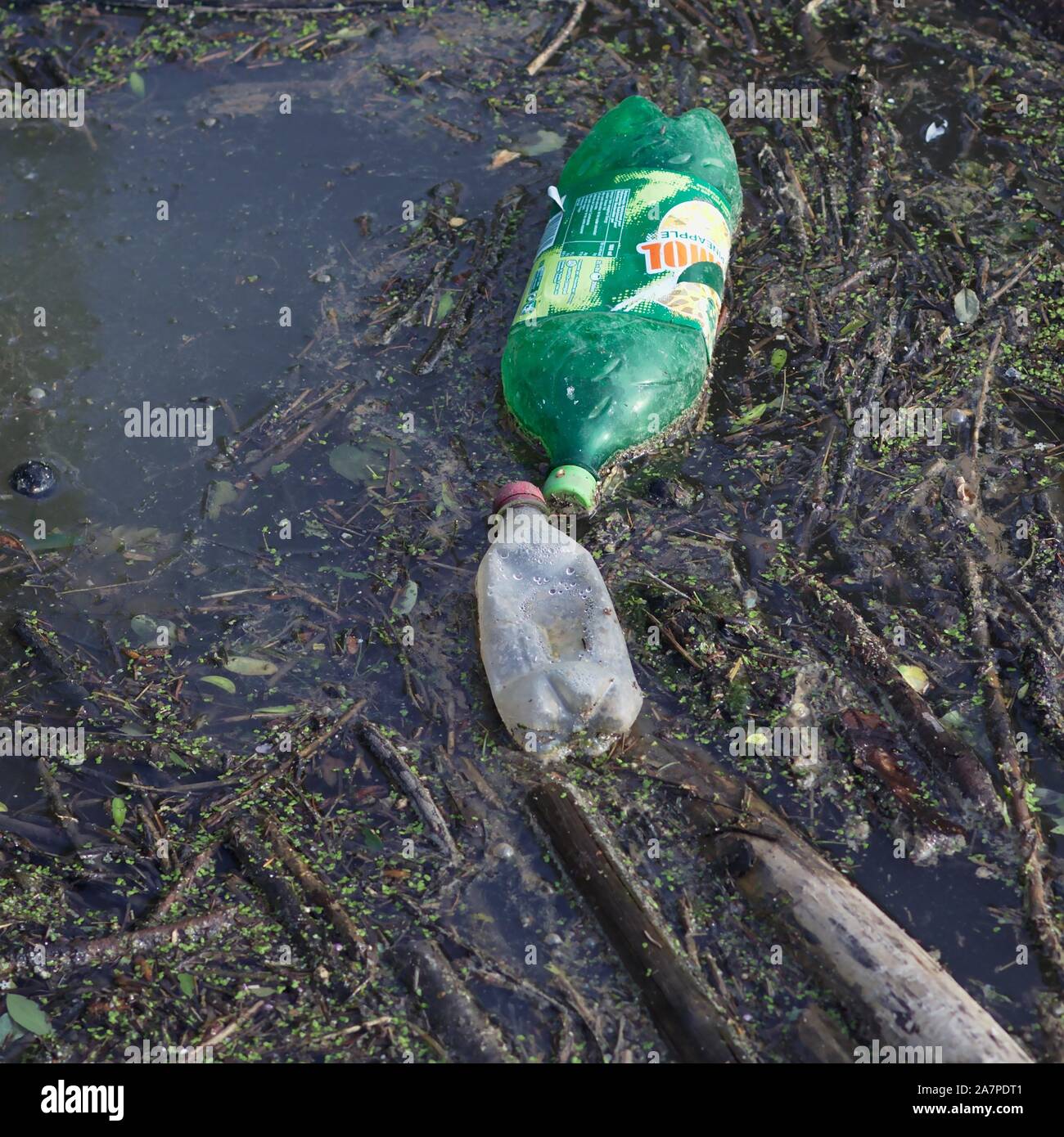 Plastic litter in water Stock Photo Alamy