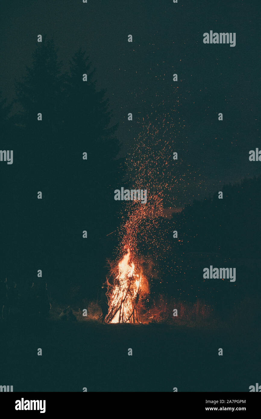 Fire in the Forest Stock Photo - Alamy