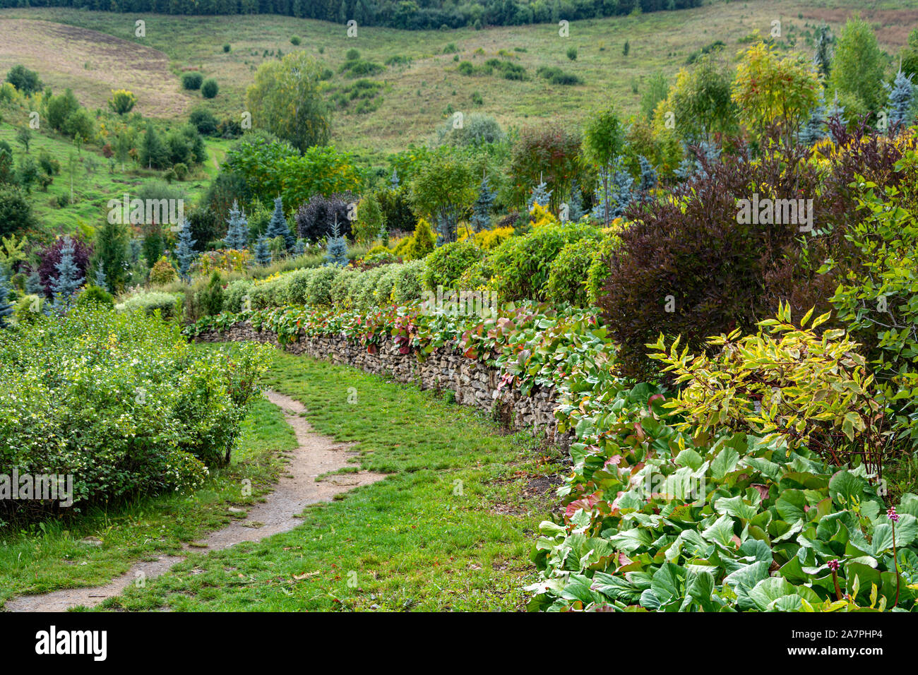 Decorative path in a beautiful garden in early autumn Stock Photo - Alamy