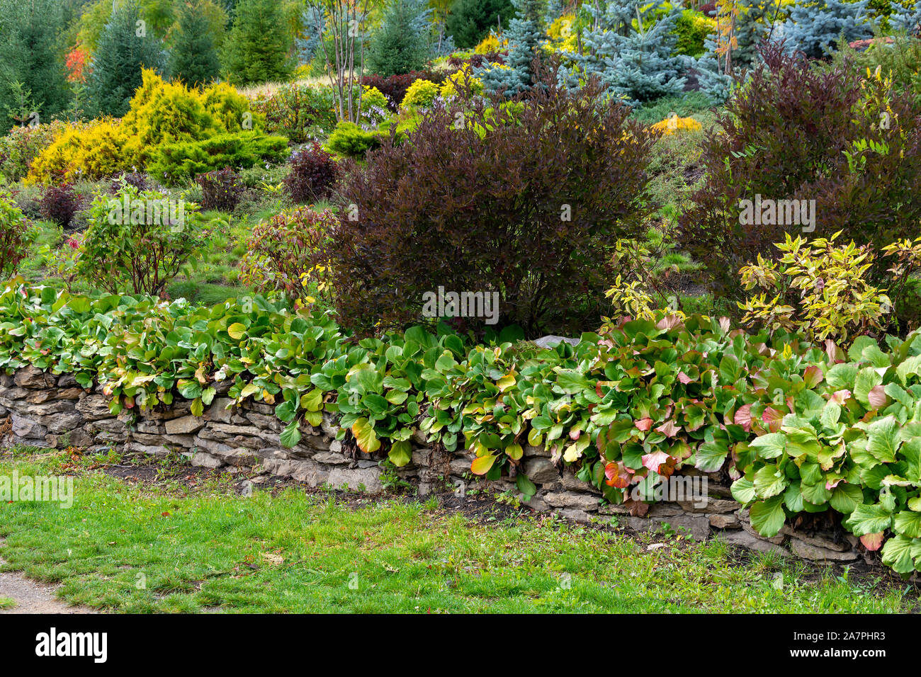 Decorative path in a beautiful garden in early autumn Stock Photo - Alamy