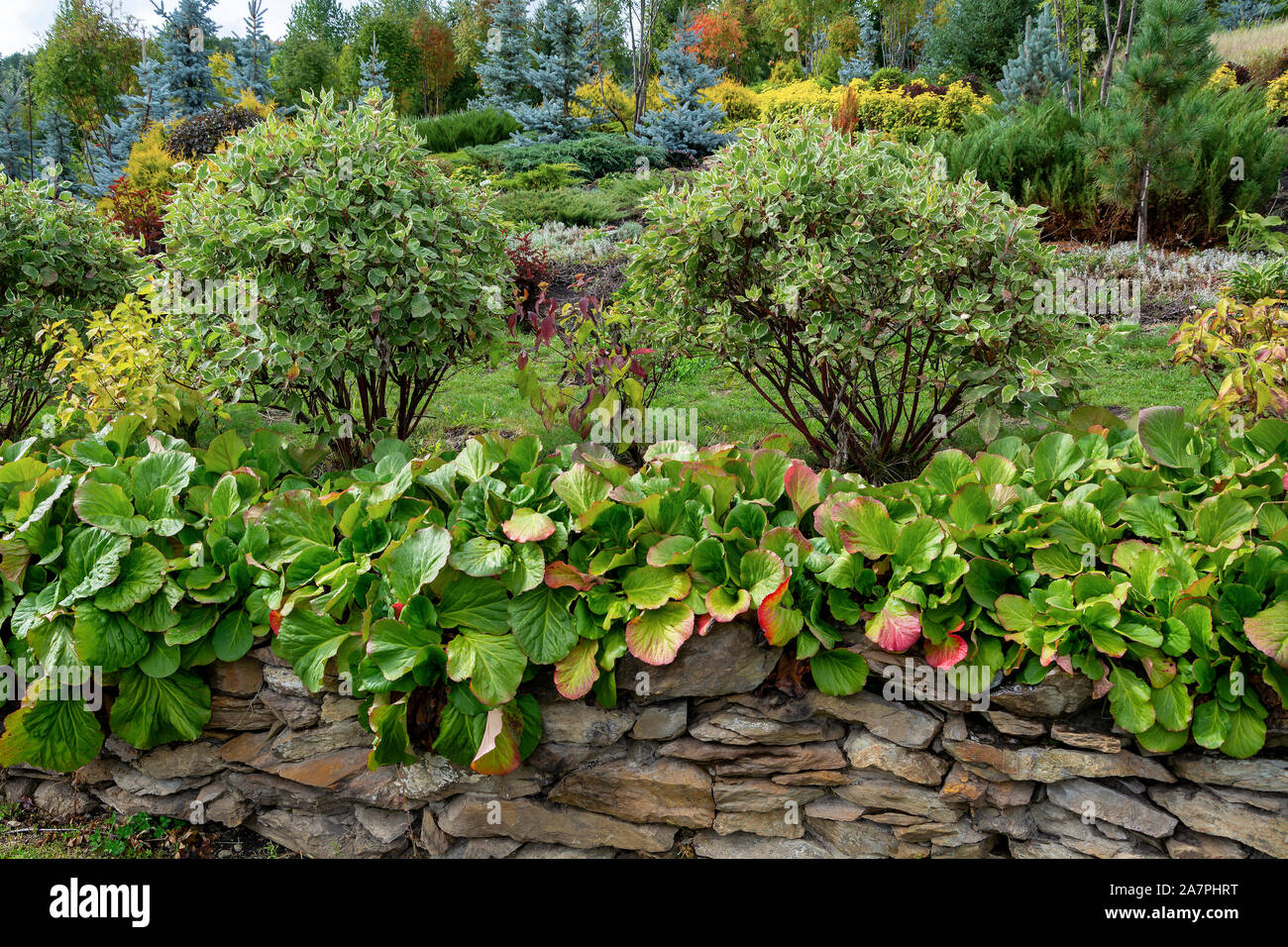Decorative path in a beautiful garden in early autumn Stock Photo - Alamy