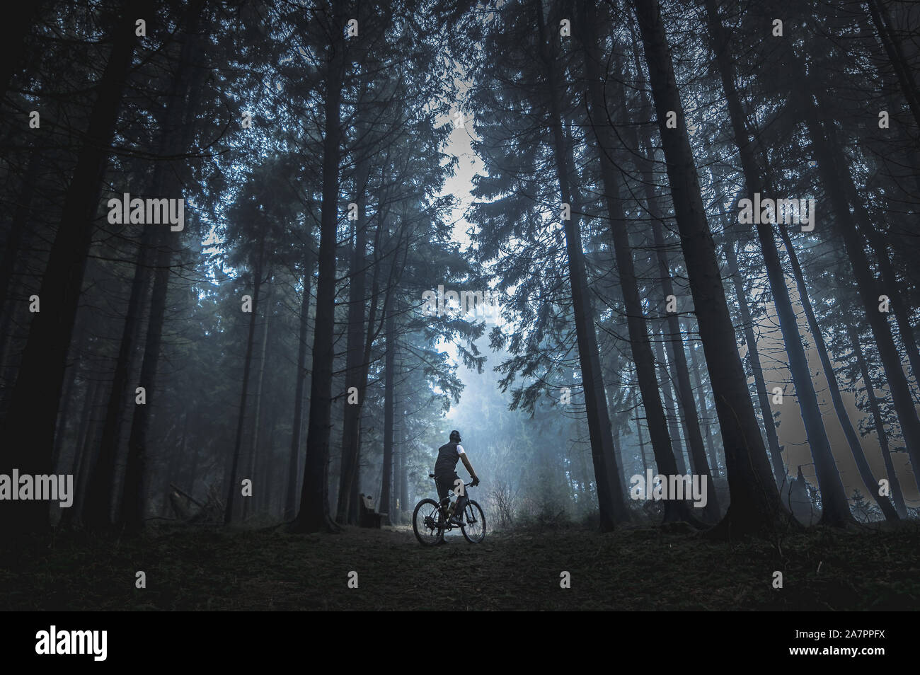 Man biking alone in magical dark foggy wild forest landscape. Stock Photo