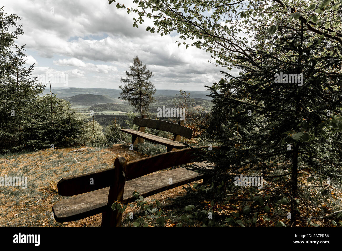 Empty park benches in the rain hi-res stock photography and images - Alamy