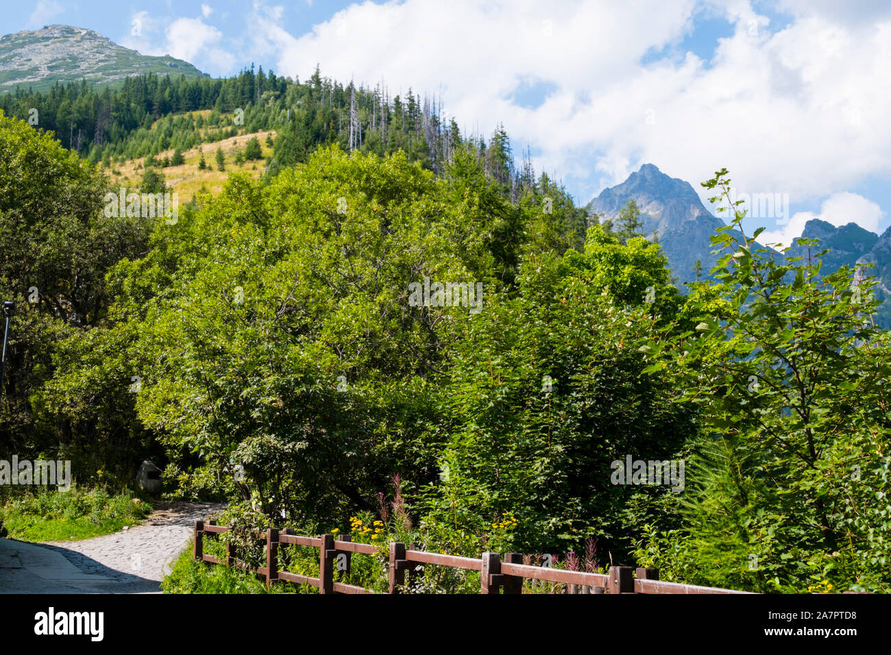 Hrebienok, Stary Smokovec, Vysoke Tatry, Slovakia Stock Photo