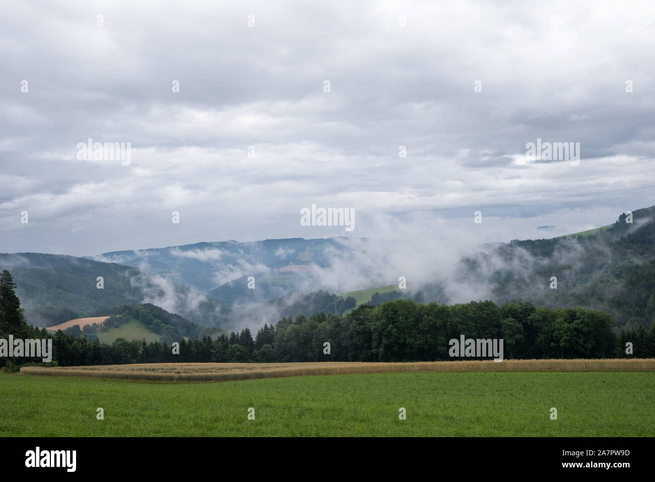 Color outdoor rural idyllic rolling hill landscape panorama,fields,meadow,forest, sky,dense clouds,wafts of mist Stock Photo