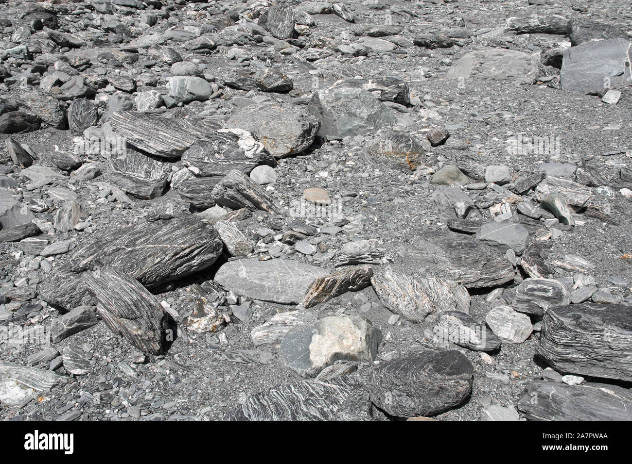 Dry river bed in Franz Josef, New Zealand. Grey stones background texture. Stock Photo