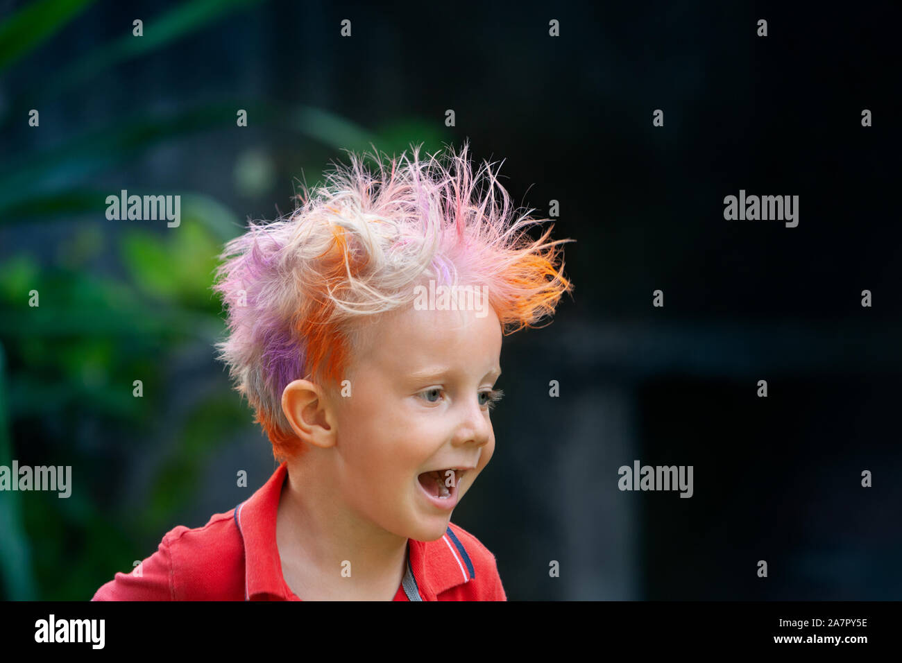 Funny Portrait Of Boy With Messy Hairstyle Crazy Hipster Kid