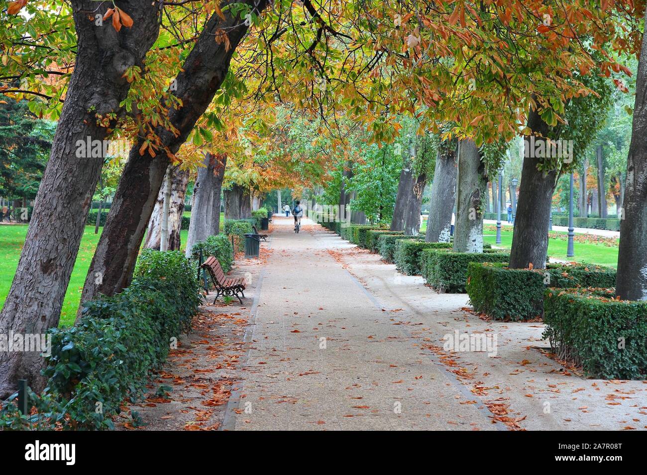 Madrid Autumn Path In Retiro Park City Green Space Stock Photo Alamy