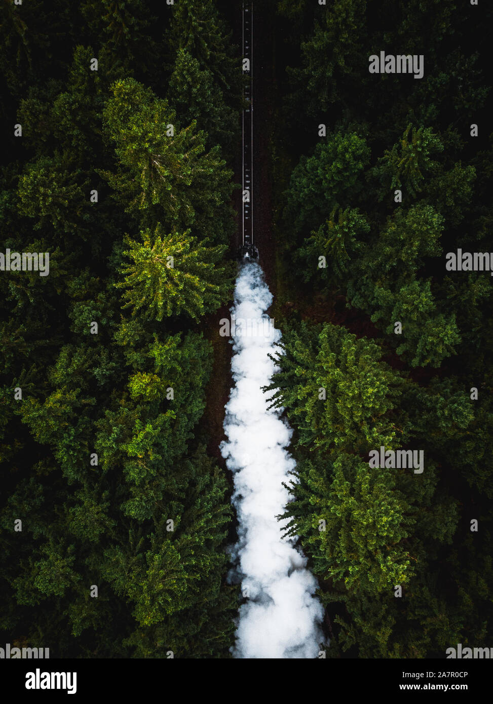 Aerial of Harz steam locomotive passing through green pine forest in autumn with steam cloud during a moody autumn day (Harz, Germany, Europe) Stock Photo