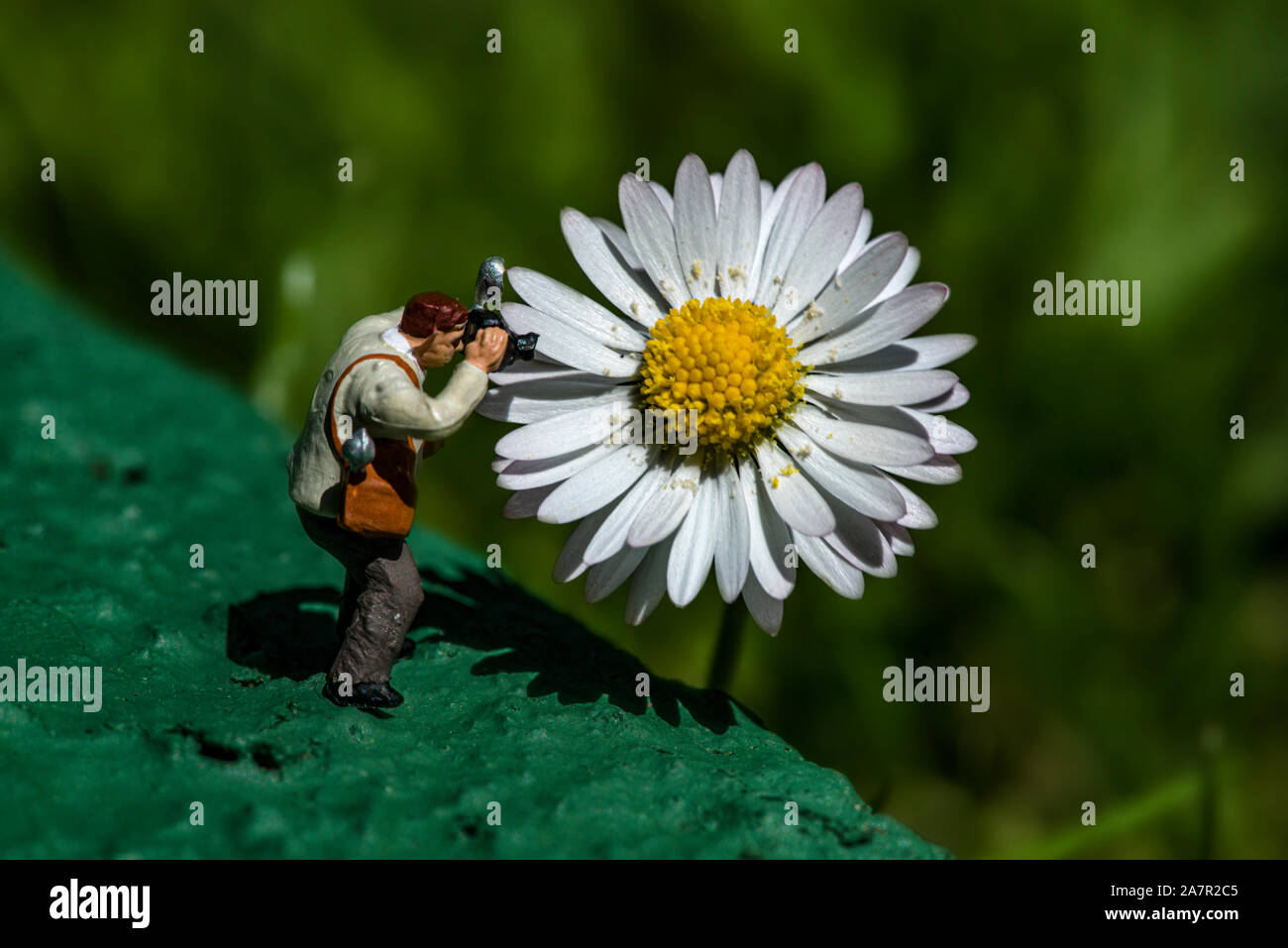 miniature people, miniature people cleaning Camera Sensor and fruit picking, scenes of life,miniature scen Stock Photo