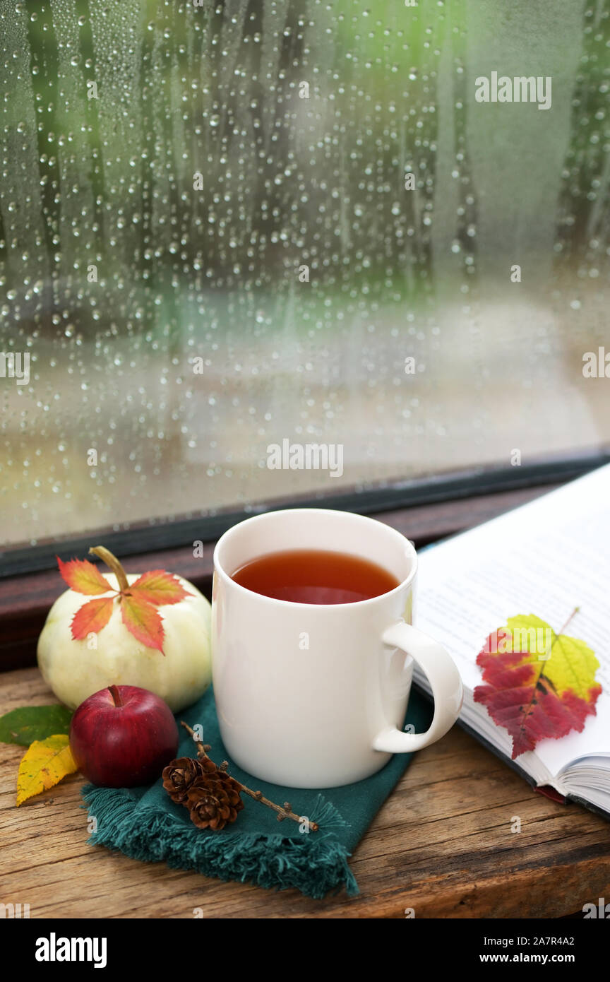 Cup Of Tea Near A Pumpkin And Book In A Rainy Day Stock Photo Alamy