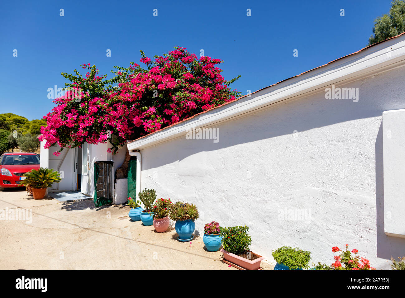 Traditional rural house in southern Greece with blooming red azalea near  the white wall of a one-story house on a background of blue sky Stock Photo  - Alamy