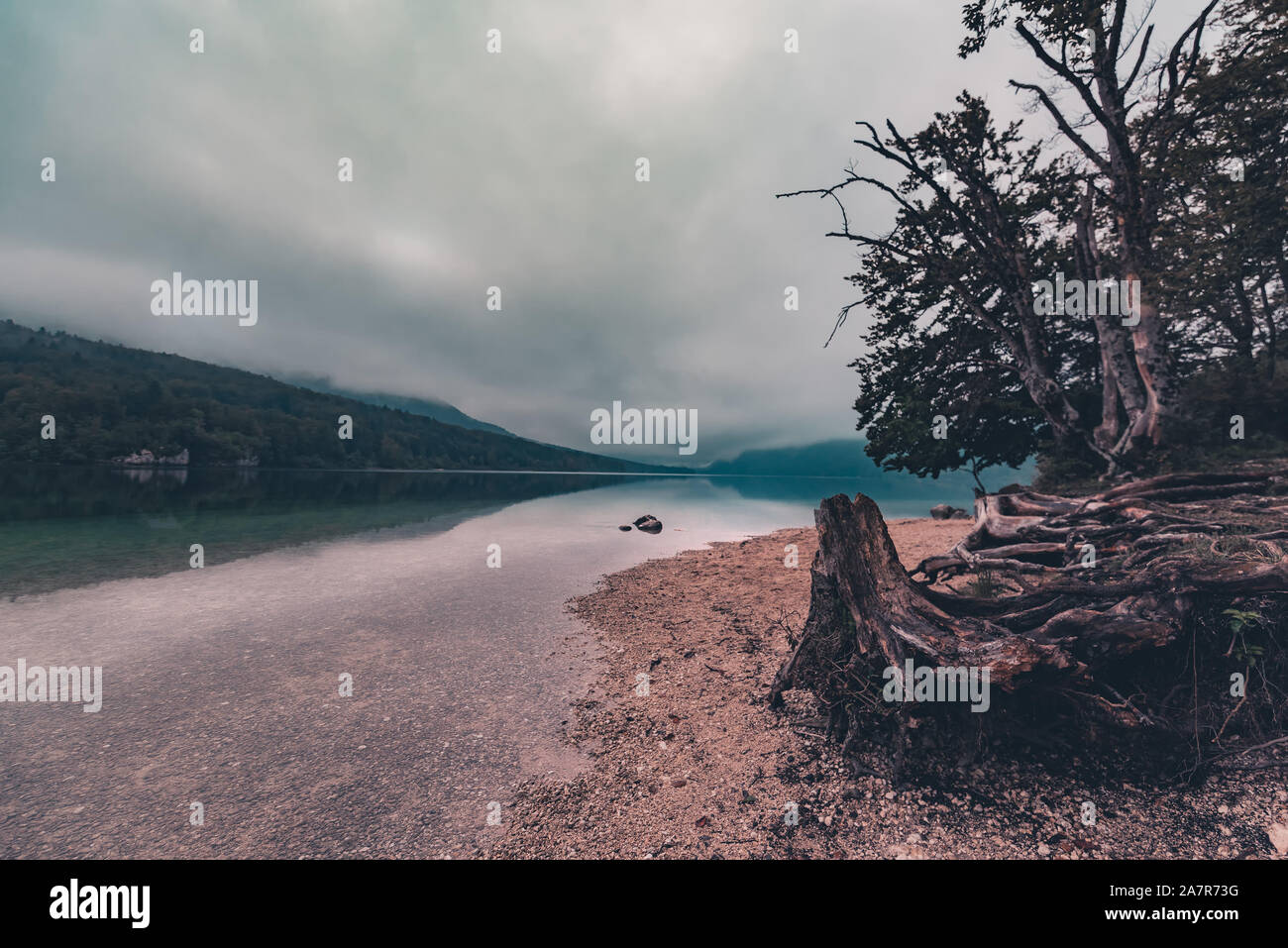 Crack of dawn on Lake Bohinj in Slovenia, beautiful tranquil landscape with autumnal fog on the lakeshore Stock Photo