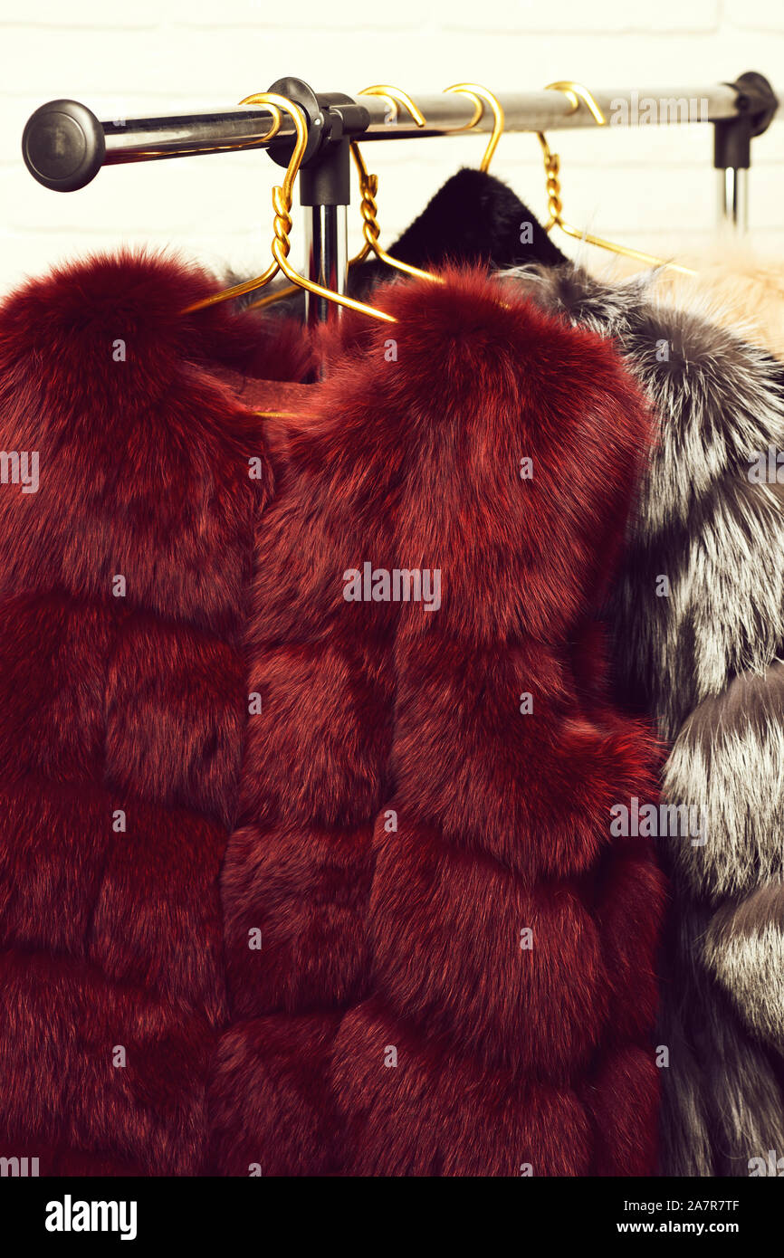 fashionable luxurious waist coats of fur hanging on rack on golden ...