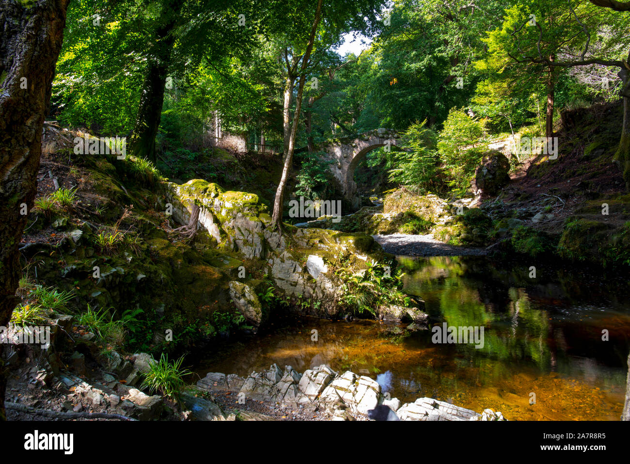 Tollymore Forest Park in Bryansford Northern Ireland Stock Photo