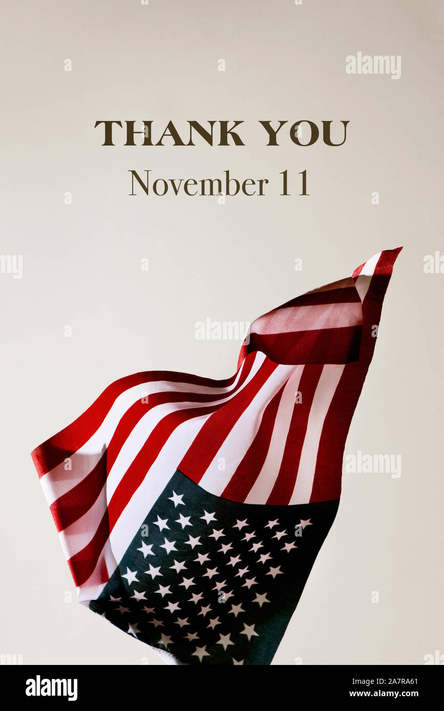 an american flag and the text thank you november 11 on an off-white background Stock Photo