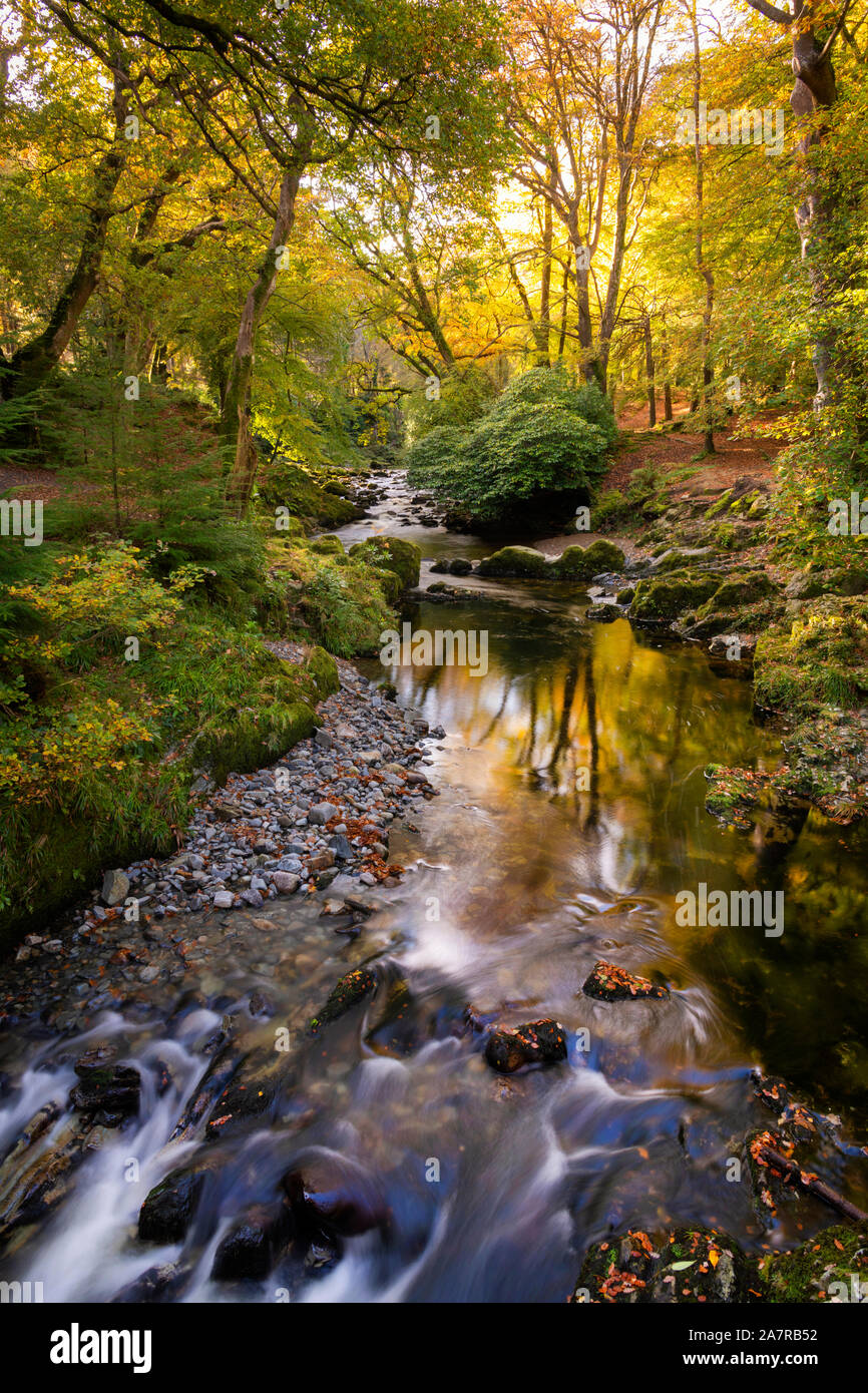 Tollymore Forest Park in Bryansford Northern Ireland Stock Photo