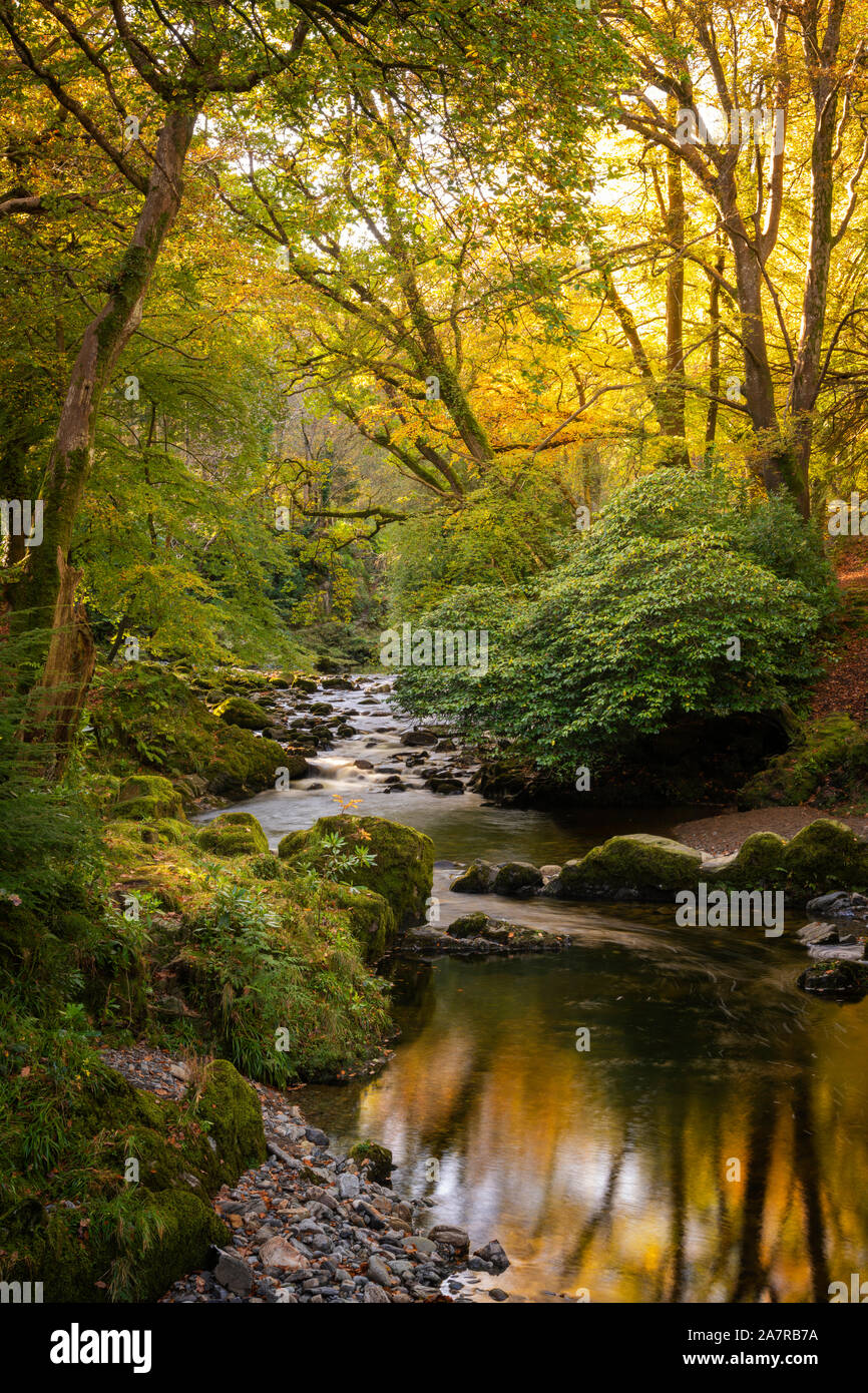 Tollymore Forest Park in Bryansford Northern Ireland Stock Photo