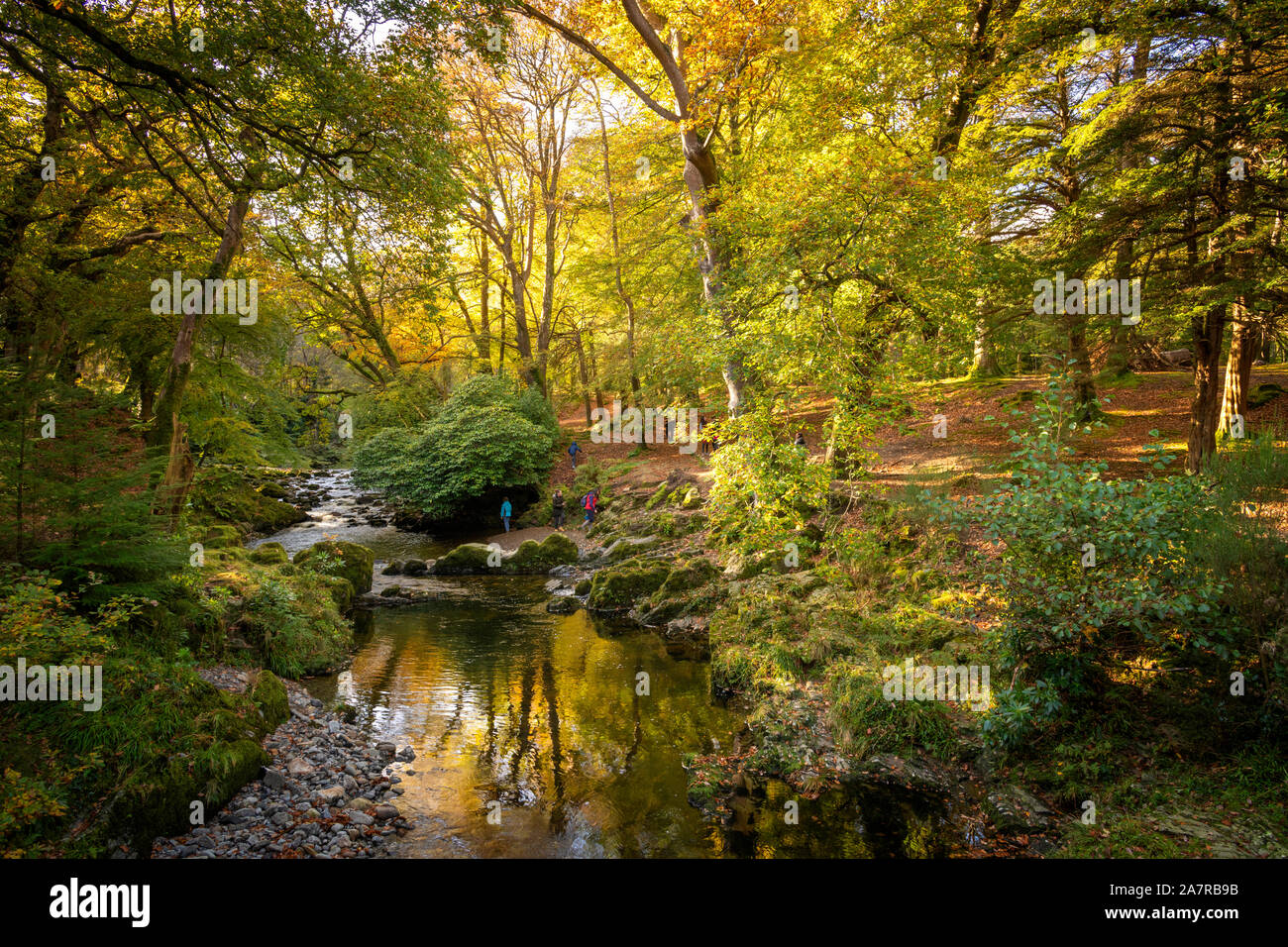 Tollymore Forest Park in Bryansford Northern Ireland Stock Photo