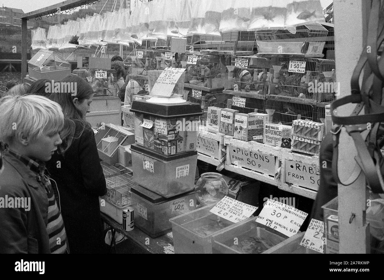 Pet stall, Quayside Market, Newcastle, c.1972 Stock Photo Alamy