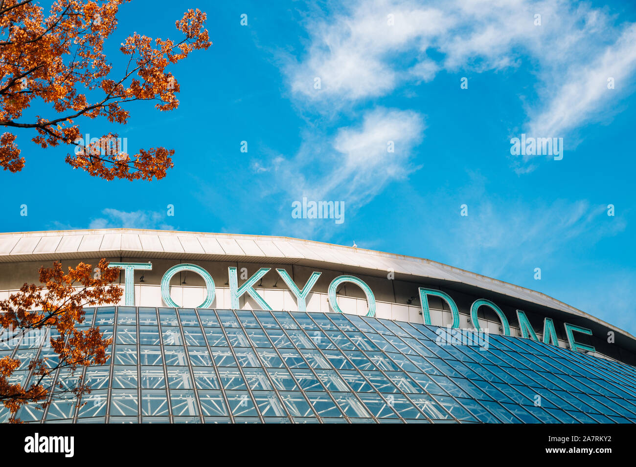 Tokyo, Japan - November 26, 2018 : Tokyo dome stadium with autumn maple Stock Photo