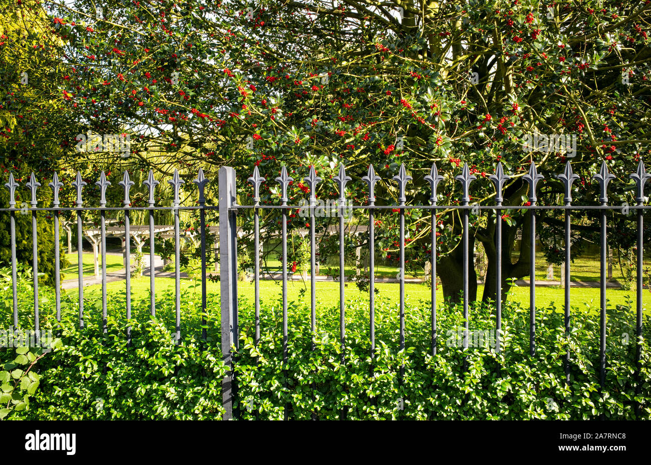 Best Decking Lights for Decks, Porches, \u0026 Railings | TimberTech, image size:1300x928