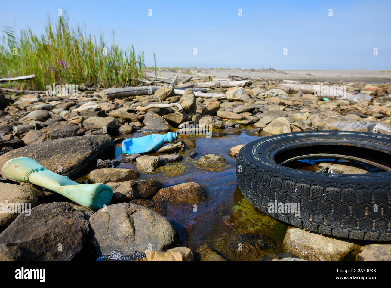Car tire and plastic bottles in muddy puddle on beach. Beach plastics